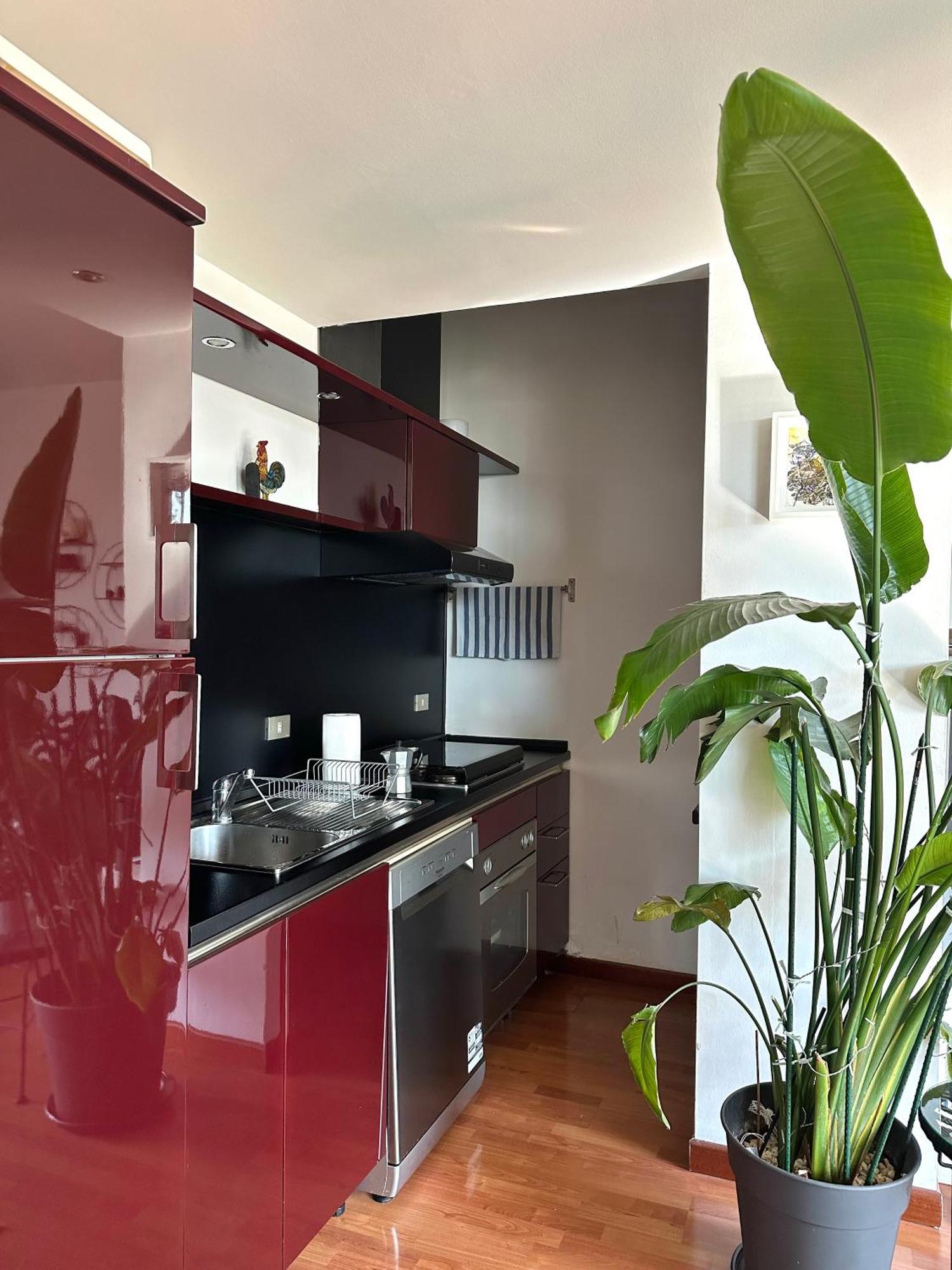 Appartamento Urban Jungle - Attico Vista Duomo Milano Esterno foto