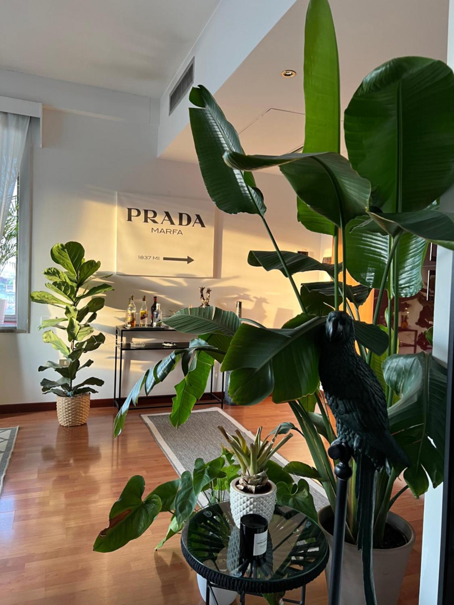Appartamento Urban Jungle - Attico Vista Duomo Milano Esterno foto